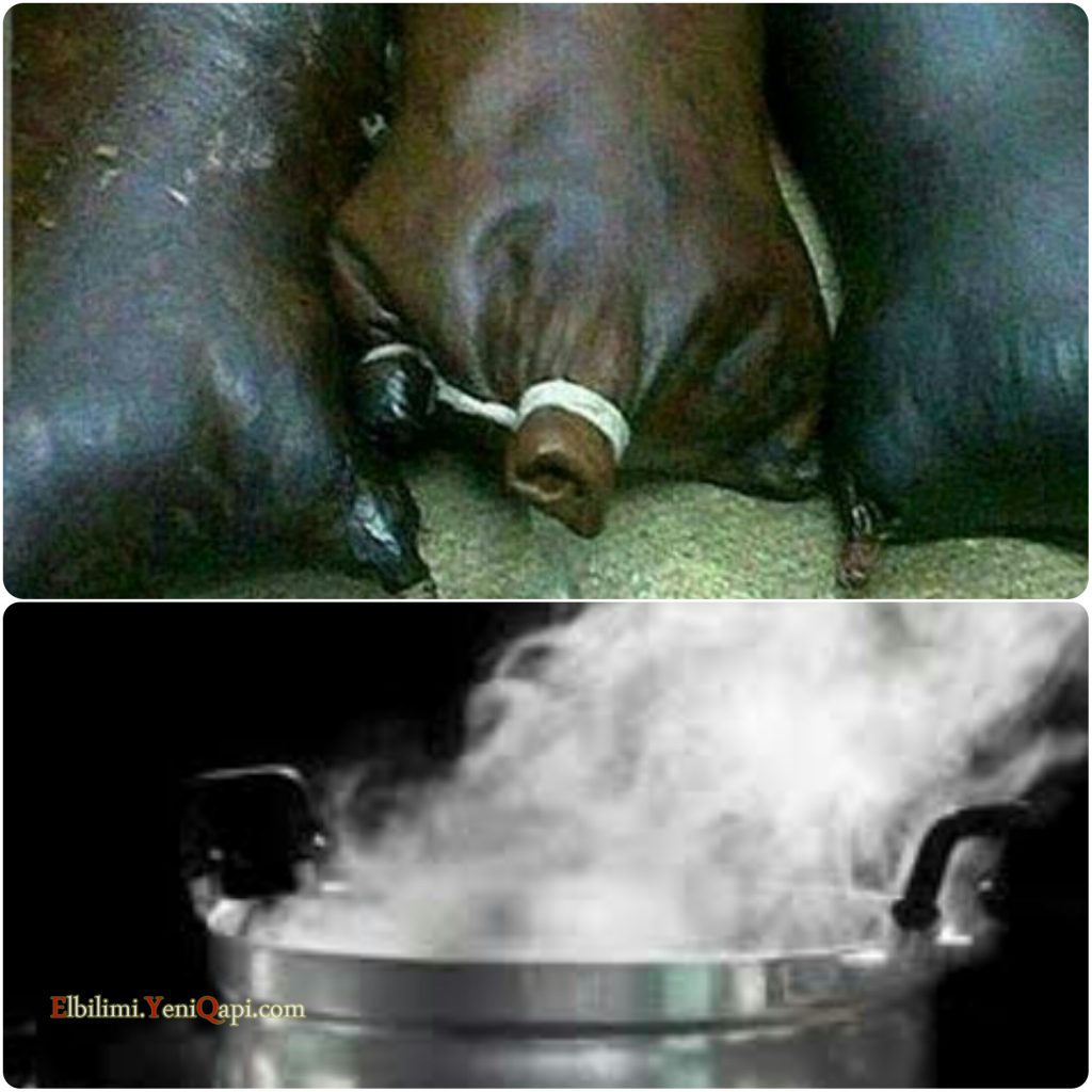 İnanclar / Bizdən yeylər